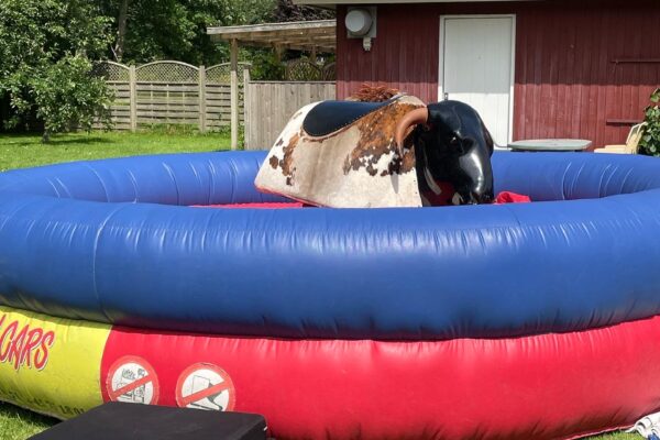 Rodeotyr